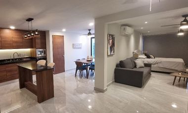 Renta de Departamento Amueblado Col del Carmen