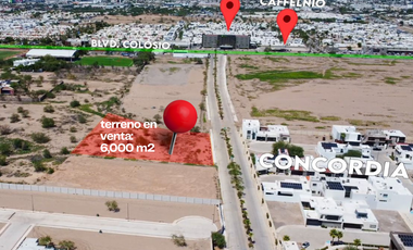TERRENO EN VENTA 6,000 M2 MUY CERCA DE HOLIDAY INN COLOSIO