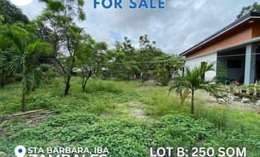 𝐘𝐨𝐮𝐫 𝐃𝐫𝐞𝐚𝐦 𝐇𝐨𝐦𝐞 𝐀𝐰𝐚𝐢𝐭𝐬: 𝐑𝐞𝐬𝐢𝐝𝐞𝐧𝐭𝐢𝐚𝐥 𝐋𝐨𝐭𝐬 𝐢𝐧 𝐒𝐚𝐧𝐭𝐚 𝐁𝐚𝐫𝐛𝐚𝐫𝐚, 𝐈𝐛𝐚!