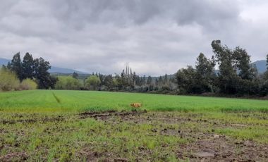 PARCELAS EN VENTA - SANTA CRUZ (Cód. 168)