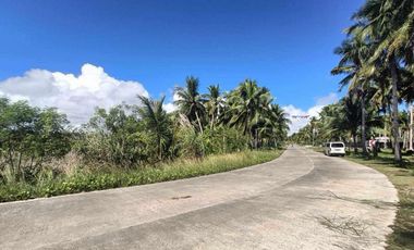 For Sale: Commercial Lot in Siargao