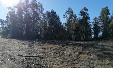 Parcela En Venta En Tabolguén, Cauquenes