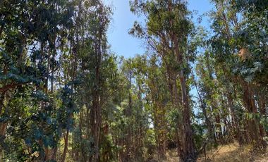 Parcela En Venta En Tabolguén, Cauquenes