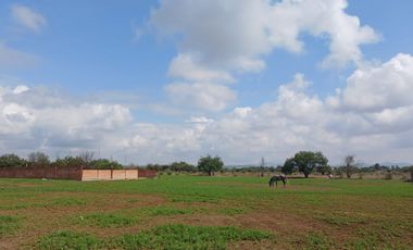Oportunidad Única: Terrenos Campestres en Rincón de Romos