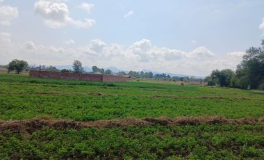 Oportunidad Única: Terrenos Campestres en Rincón de Romos