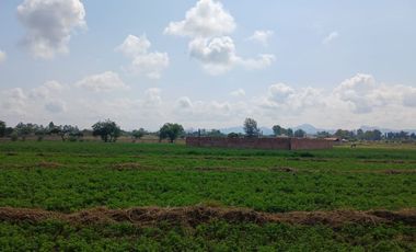 Oportunidad Única: Terrenos Campestres en Rincón de Romos