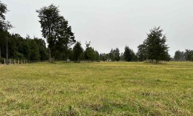 Vendo parcela 2 hectáreas a 31 kms de Osorno