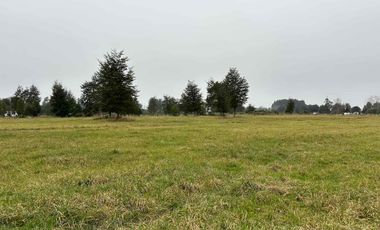 Vendo parcela 2 hectáreas a 31 kms de Osorno