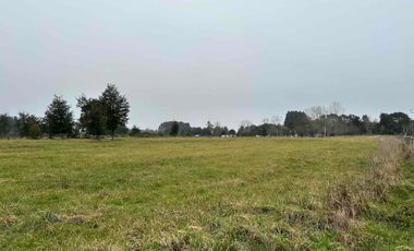 Vendo parcela 2 hectáreas a 31 kms de Osorno