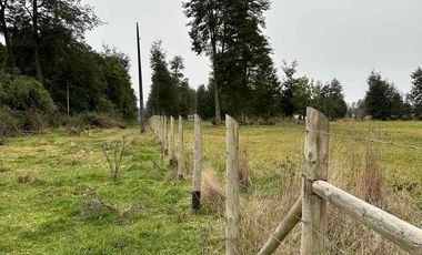 Vendo parcela 2 hectáreas a 31 kms de Osorno
