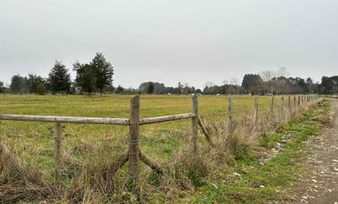 Vendo parcela 2 hectáreas a 31 kms de Osorno