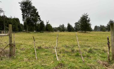 Vendo parcela 2 hectáreas a 31 kms de Osorno
