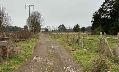 Vendo parcela 2 hectáreas a 31 kms de Osorno