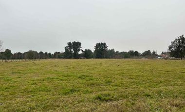 Vendo terreno 4,37 has Collipulli, Puyehue a 30 kms de Osorno