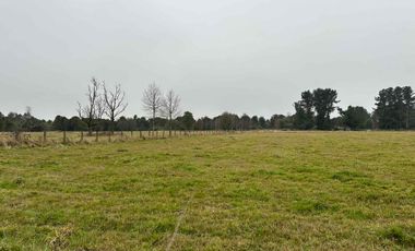Vendo terreno 4,37 has Collipulli, Puyehue a 30 kms de Osorno