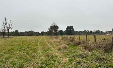 Vendo terreno 4,37 has Collipulli, Puyehue a 30 kms de Osorno