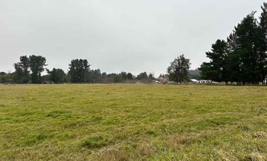 Vendo terreno 4,37 has Collipulli, Puyehue a 30 kms de Osorno