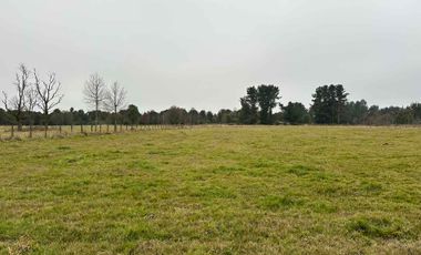Vendo terreno 4,37 has Collipulli, Puyehue a 30 kms de Osorno