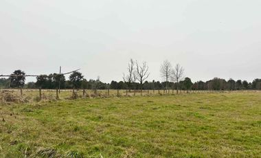 Vendo terreno 4,37 has Collipulli, Puyehue a 30 kms de Osorno