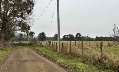 Vendo terreno 4,37 has Collipulli, Puyehue a 30 kms de Osorno