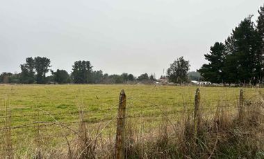 Vendo terreno 4,37 has Collipulli, Puyehue a 30 kms de Osorno