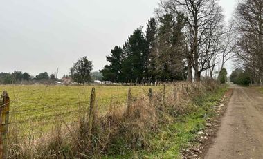 Vendo terreno 4,37 has Collipulli, Puyehue a 30 kms de Osorno