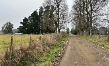 Vendo terreno 4,37 has Collipulli, Puyehue a 30 kms de Osorno