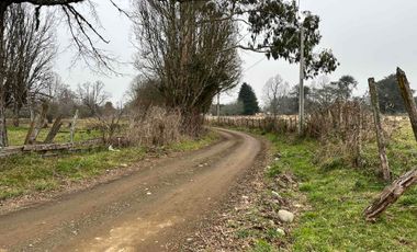 Vendo terreno 4,37 has Collipulli, Puyehue a 30 kms de Osorno