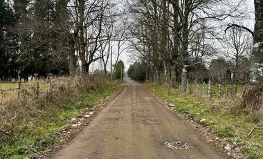 Vendo terreno 4,37 has Collipulli, Puyehue a 30 kms de Osorno
