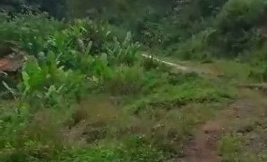 2 Ha Tanah Kebun Untuk Peternakan Ayam, Sarimukti, Cipatat, Bandung Barat.