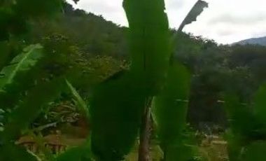 2 Ha Tanah Kebun Untuk Peternakan Ayam, Sarimukti, Cipatat, Bandung Barat.