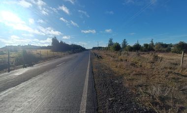 SE VENDE PARCELA ORILLA CARRETERA LOS ÁNGELES