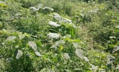 VENTA TERRENO SOBRE CARRETERA PUENTE DE IXTLA A TEHUIXTLA