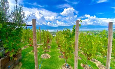 Terrenos en Pre Venta en la Ribera de Chapala