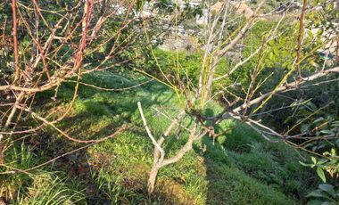 Quilpué, El Retiro. Acogedora y hermosa casa con vista panorámica.