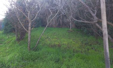 Quilpué, El Retiro. Acogedora y hermosa casa con vista panorámica.
