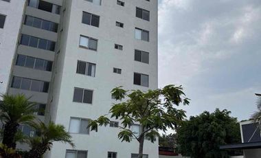 DEPARTAMENTO TORALMENTE AMUEBLADO EN CALZADA DE LOS REYES