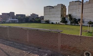 SE VENDE TERRENO CERCADO DE 300 M2 EN NARANJAL  SAN MARTIN DE PORRES