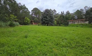 Terreno en Venta en Quinta Andrea, Huasca de Ocampo – 1,200 m²