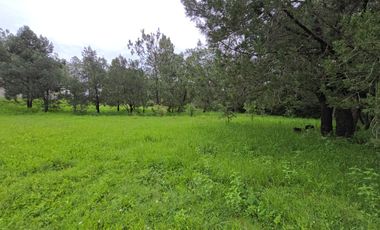 Terreno en Venta en Quinta Andrea, Huasca de Ocampo – 1,200 m²