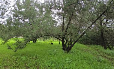 Terreno en Venta en Quinta Andrea, Huasca de Ocampo – 1,200 m²