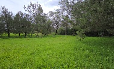 Terreno en Venta en Quinta Andrea, Huasca de Ocampo – 1,200 m²