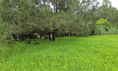 Terreno en Venta en Quinta Andrea, Huasca de Ocampo – 1,200 m²