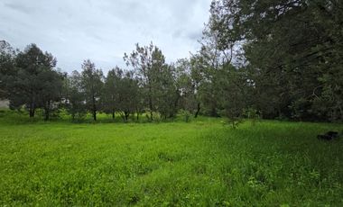 Terreno en Venta en Quinta Andrea, Huasca de Ocampo – 1,200 m²