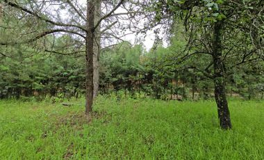 Terreno en Venta en Quinta Andrea, Huasca de Ocampo – 1,200 m²