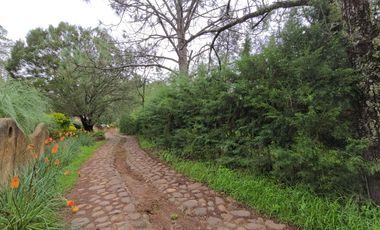 Terreno en Venta en Quinta Andrea, Huasca de Ocampo – 1,200 m²