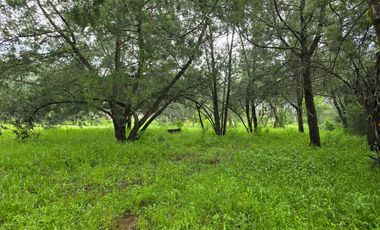 Terreno en Venta en Quinta Andrea, Huasca de Ocampo – 1,200 m²