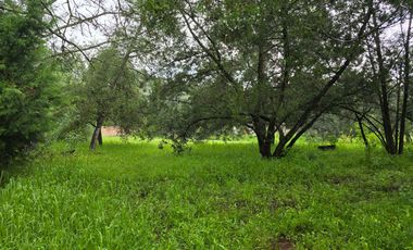 Terreno en Venta en Quinta Andrea, Huasca de Ocampo – 1,200 m²