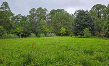 Terreno en Venta en Quinta Andrea, Huasca de Ocampo – 1,200 m²