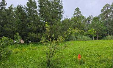 Terreno en Venta en Quinta Andrea, Huasca de Ocampo – 1,200 m²